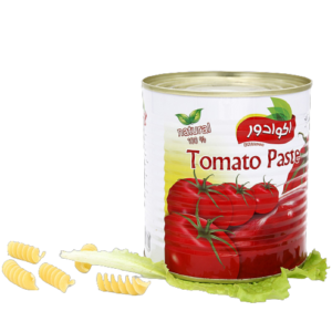 ECUADO TOMATO PASTE 12X800gr