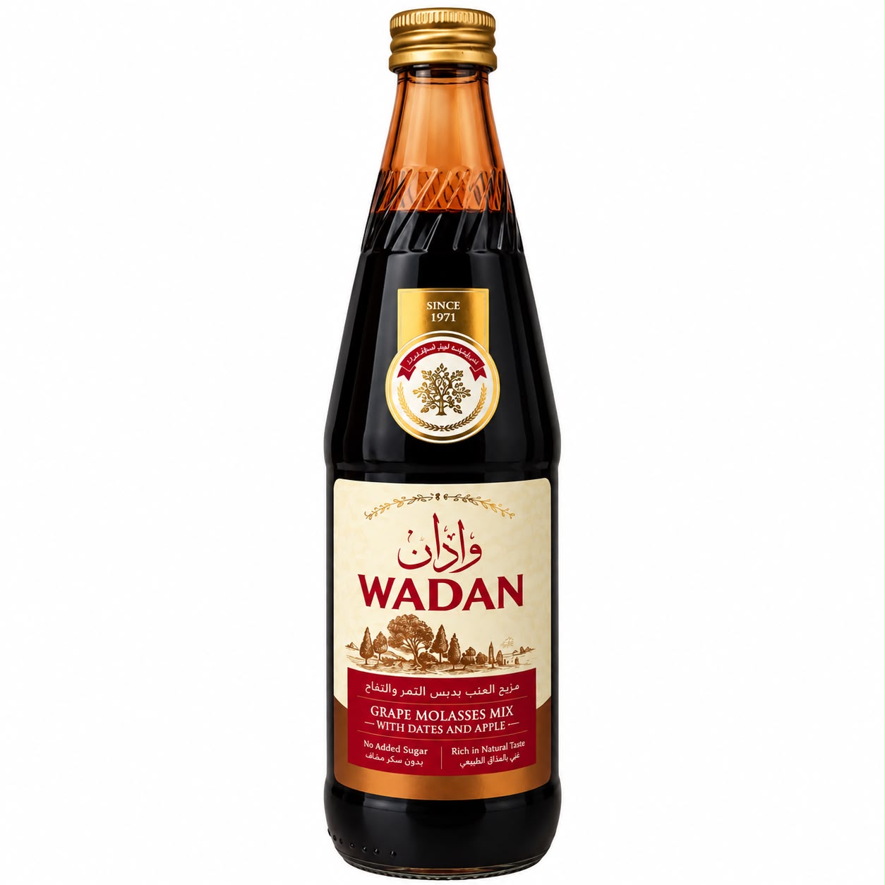 VIMTO WADAN FRUIT 12X710ML